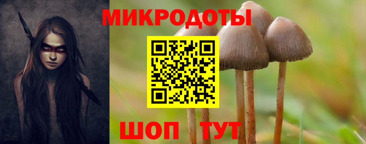 Псилоцибиновые грибы мицелий Калуга